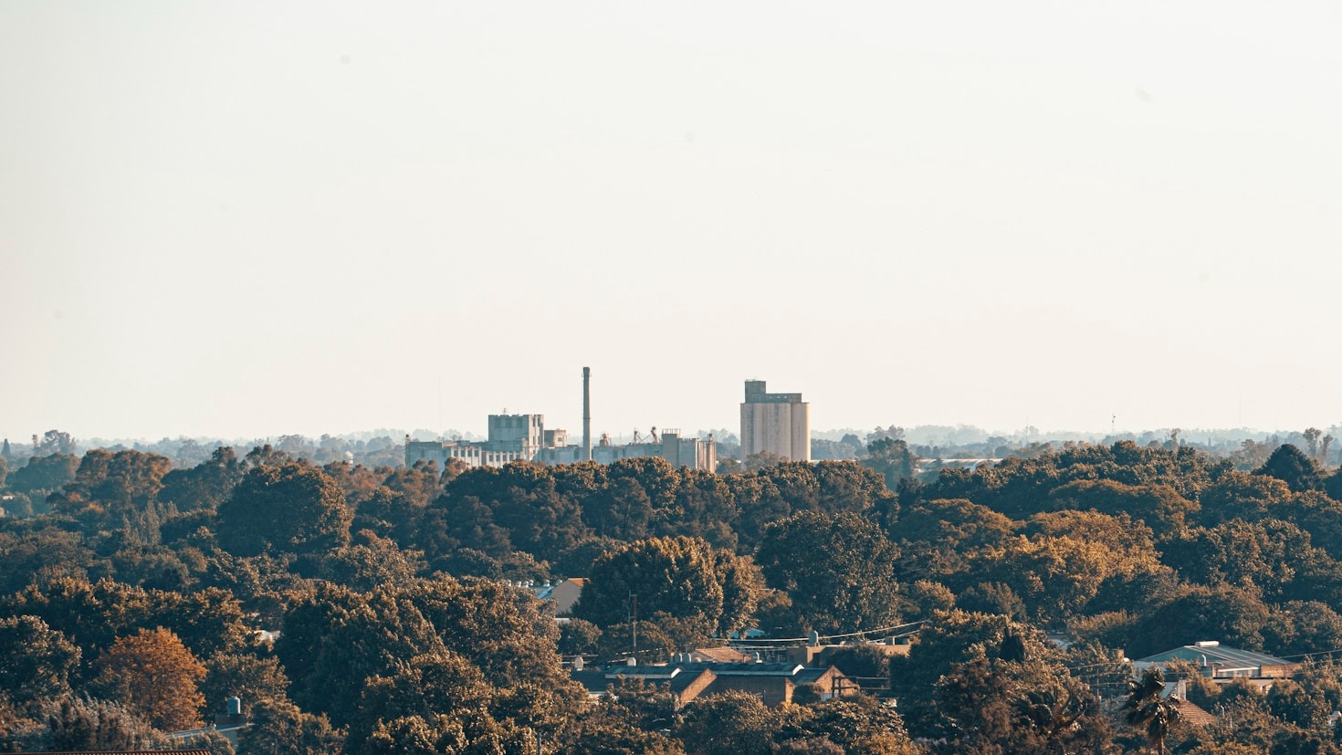 A Local’s Guide to Harrisburg’s Best Eats